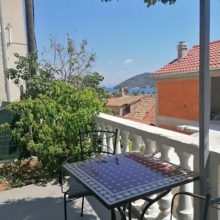 Apartment & Vitt