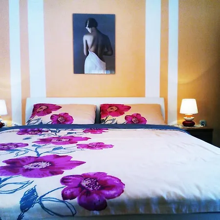 Apartman & Vitt Vis