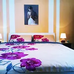 Appartement & Vitt Vis