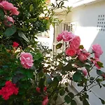 Appartement & Vitt *
