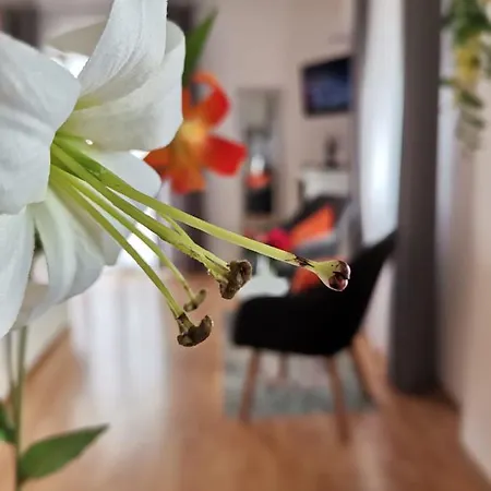 & Vitt Apartamento